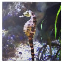 Recherche de vie aquatique carreaux Poisson