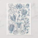Recherche de ernst cartes postales Haeckel
