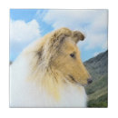 Zoek naar scottish tegels Collie