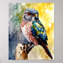 Recherche de ornithologie posters Oiseau de proie