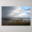 Recherche de refuge photographie Nature