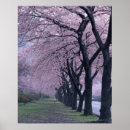 Recherche de arbre plante posters Arbres