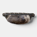 Recherche de joey accessoires Mignon