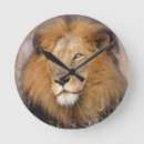 Recherche de dangereux horloges Animal
