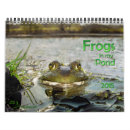 Recherche de grenouille bureau fournitures Étang