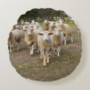 Zoek naar ooi kussens Landbouw