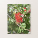 Recherche de fleurs rouges puzzles Floral