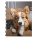 Recherche de corgi carnets Animal de compagnie