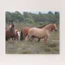 Recherche de de poney puzzles Poulain