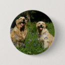 Recherche de jacinthes badges Halètement
