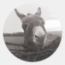 Recherche de donkey autocollants Animaux