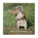 Recherche de oriental carreaux Nature