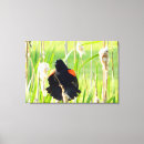 Recherche de winnie art Nature