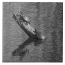 Zoek naar 6x6 tegels Schildpadden