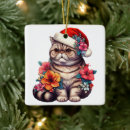 Recherche de exotique ornements Noël