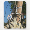 Recherche de crustacé tapis souris Crevette