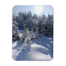 Zoek naar temperatuur kaarten Verticaal