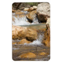 Recherche de printemps magnets Photographie