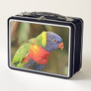 Zoek naar papegaaien lunchboxen Vogel