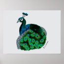 Recherche de paons blancs posters Paon bleu
