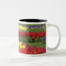 Recherche de jacinthe tasses Bleu