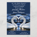 Recherche de deux cygnes invitations Oiseau