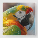 Recherche de perroquet vert horloges Nature