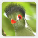 Recherche de oiseau tropical autocollants Animal