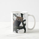 Recherche de panda rouge mugs bouteilles Thé