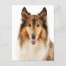 Recherche de colley rugueux vœux cartes Chiot