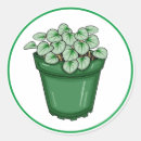 Recherche de pépinière autocollants Plante