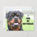 Recherche de rottweilers cartes postales Animal