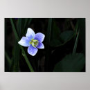 Zoek naar vloeren posters Botanisch