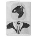 Recherche de pisanello cartes postales Animal