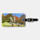 Recherche de arbre coloré bagages étiquettes Ciel bleu
