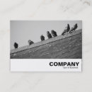 Recherche de pigeon cartes visite Élégant