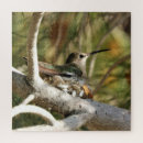 Recherche de colibris puzzles Nid
