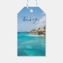 Recherche de hutte de plage Palmiers