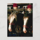 Recherche de décor cheval cartes postales Décoration