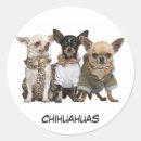 Recherche de petite race de chien autocollants Animal