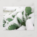 Recherche de climat cartes postales Vert