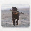 Recherche de intégral tapis souris Destinations de voyage