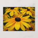 Recherche de gigantesque posters Floral