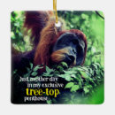 Recherche de singe drôle ornements Orangoutan