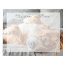 Recherche de cocker spaniel blocsnotes Animaux domestiques