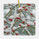 Zoek naar winter berries ornamenten Rood