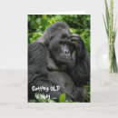 Recherche de gorille anniversaire cartes Primate