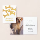 Zoek naar dog notitiekaarten Dierenarts
