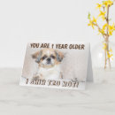 Zoek naar sjiek kaarten Hond