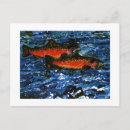 Recherche de saumon cartes postales Pour tous